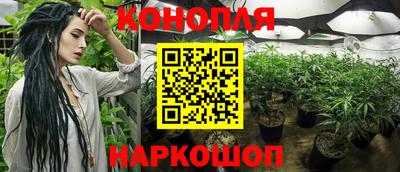 твердый Будённовск